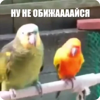 🙃