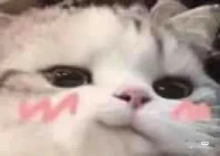 😏