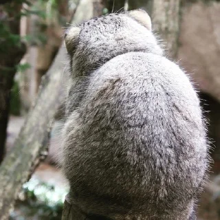 😑