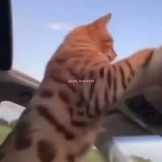🤨