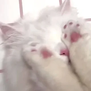 🫣