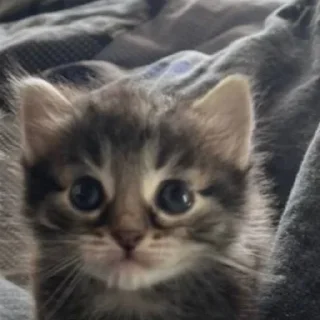 😃