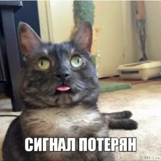 🤭