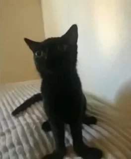 👈