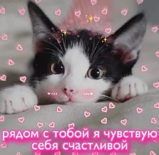 💗