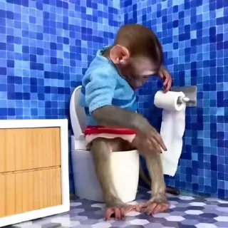 🚽