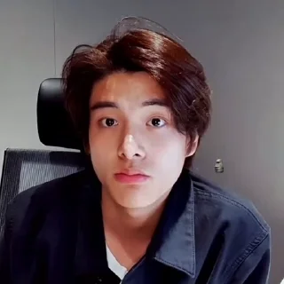 🦮