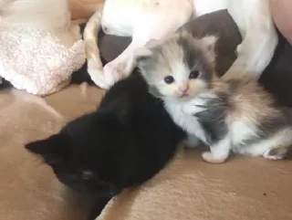 😳