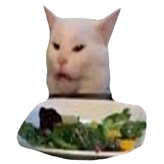 🥗