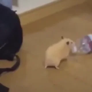 🕺