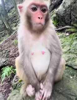 🤩