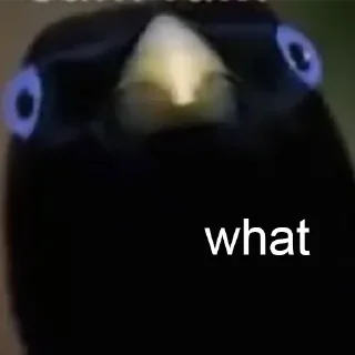 😳