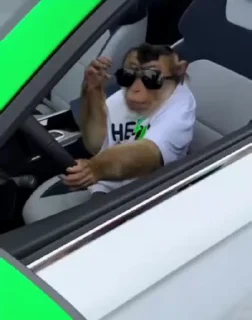 😎