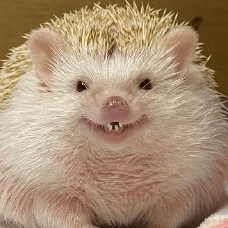 😁
