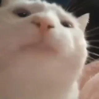 💃