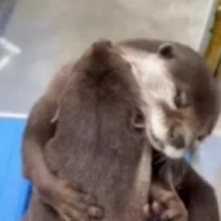 😚