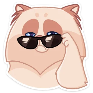 😎