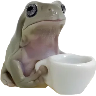 ☕️