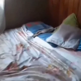 🐈