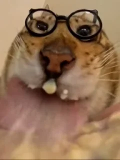 🌟