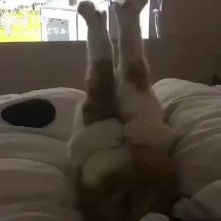 👅