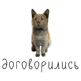 👌