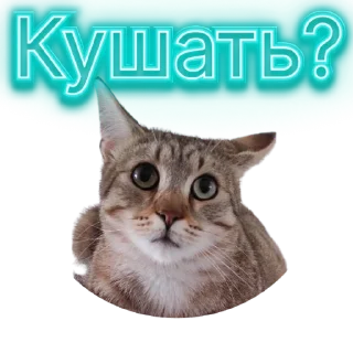 🥹