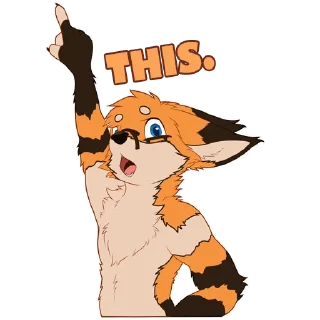 🦊
