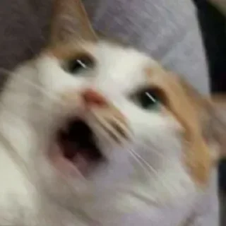 😄