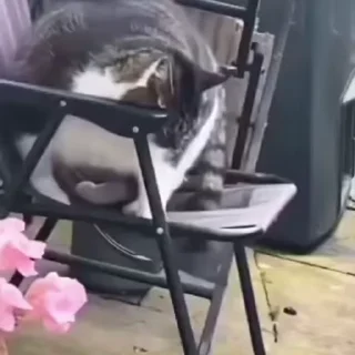 😅