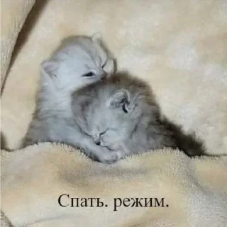 😴