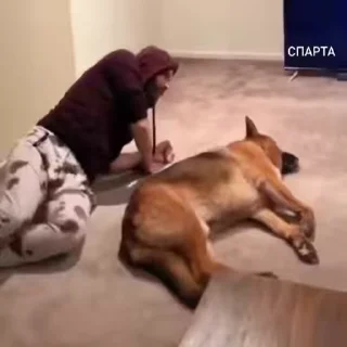 😡