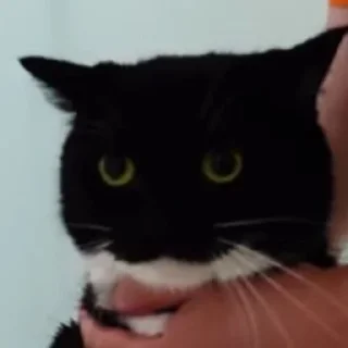 😨
