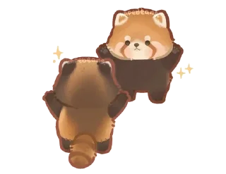 🦝
