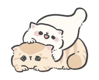 🐱
