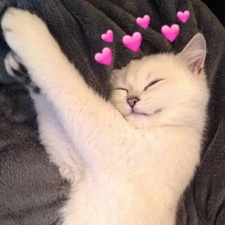🥰