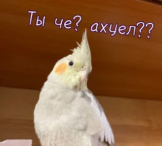 🤬