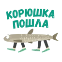 🐟