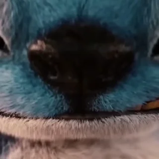 🌟