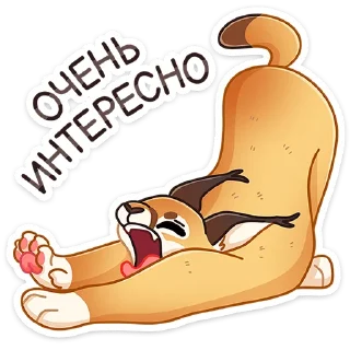 😴