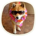 😎