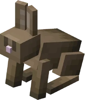 🐰