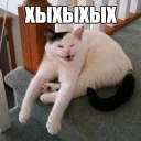 😅