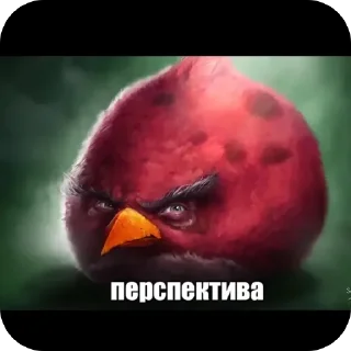 🫥
