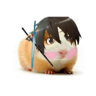 🐹