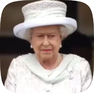 👑