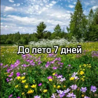 ☀️
