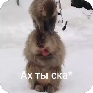 😠