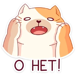 🙅‍♂️