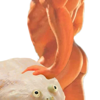 💪